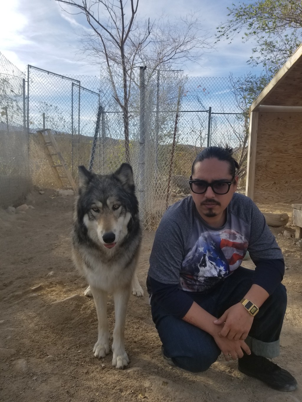 In the Company Of&nbsp;Wolves