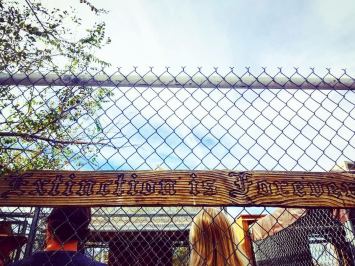 23845964_769554159881584_1051415529839610051_o